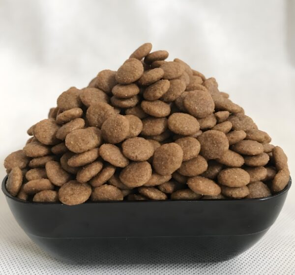 Dog food double screw extruder pet food machine - 图片 3