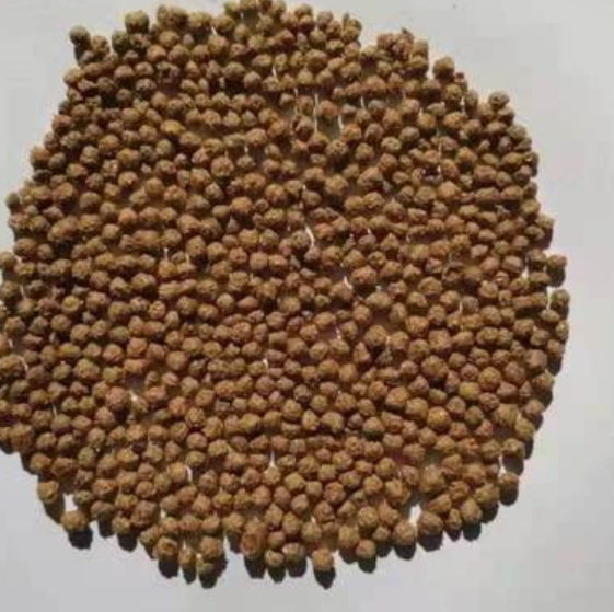 How to make fish feed ?